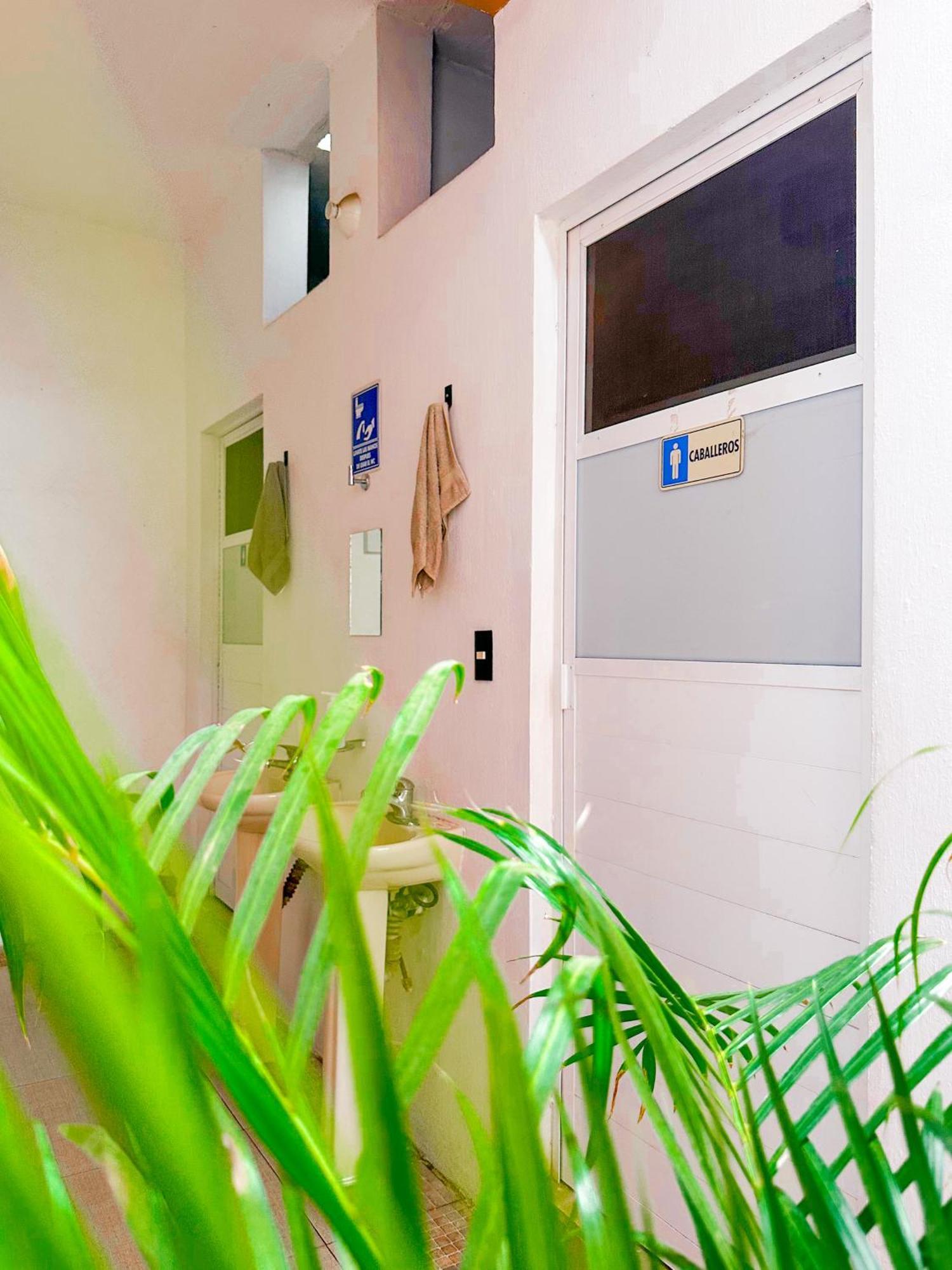 Habitacionez Hvuz Oaxaca Kültér fotó