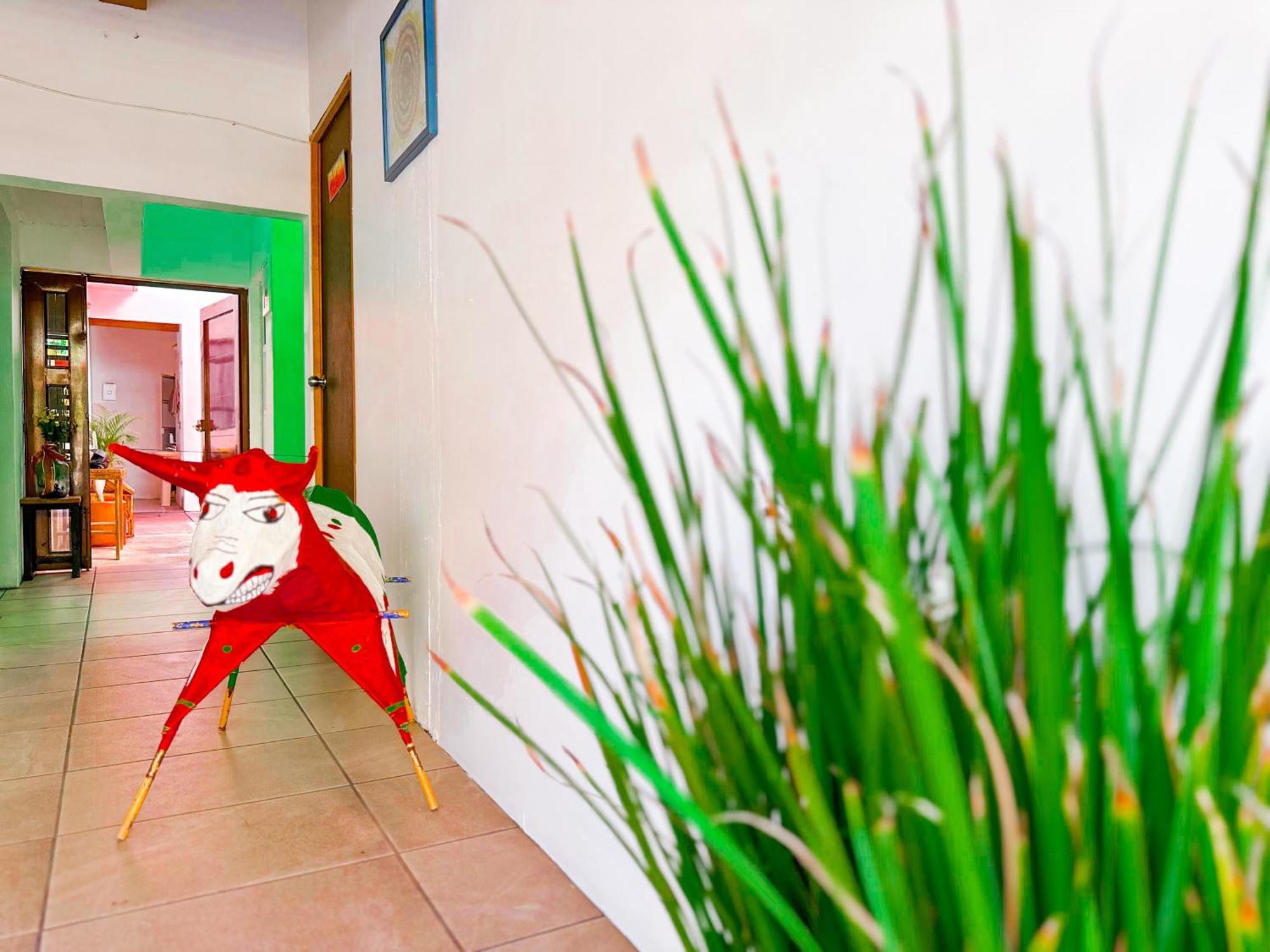 Habitacionez Hvuz Oaxaca Kültér fotó