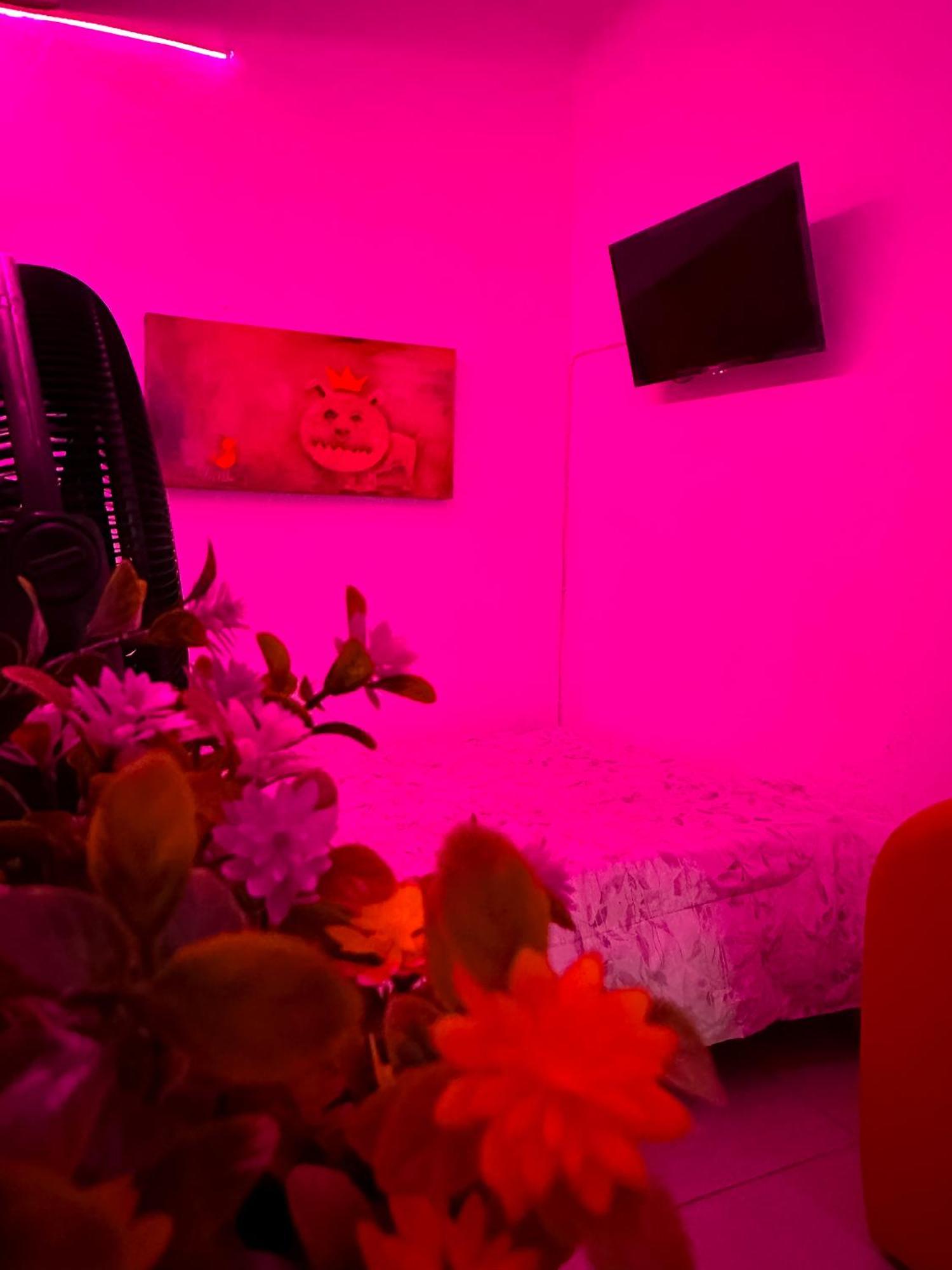 Habitacionez Hvuz Oaxaca Kültér fotó